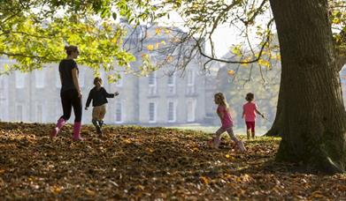 Petworth House & Park (National Trust)