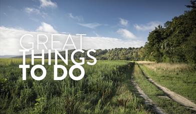 South Downs Walk - Lavington and Duncton