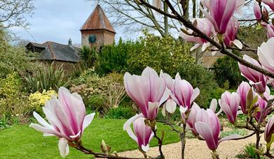 Denmans Garden