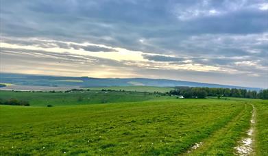 Chalk path across the South Downs