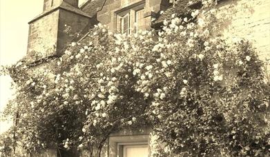 Secret Garden Boutique B&B