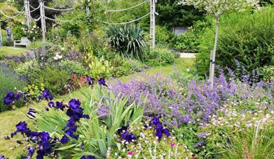 Bishops Palace Gardens: Chichester's Secret Garden