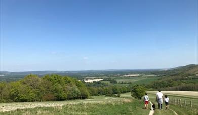Wild Combe Camping