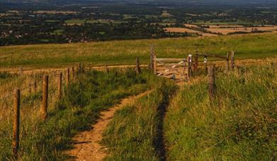 South Downs Venison and Game
