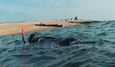 Image of a Snorkeller in open water, you can see the shore line behind, beautiful blue skies