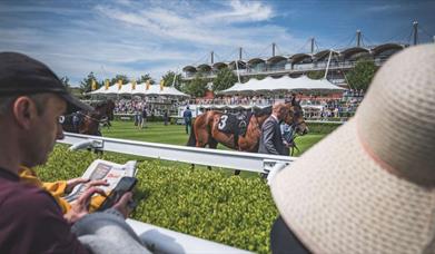 Horseracing at Goodwood