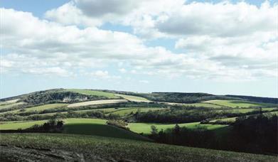 Moonlight Cottage Cocking & West Dean Woods Trail