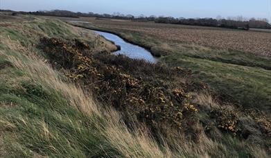 Pagham Harbour to Sidlesham Quay