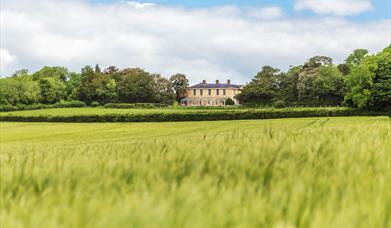 THE PIG-in the South Downs