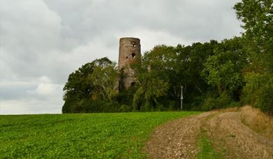 Racton Monument Credit: Rambling Path