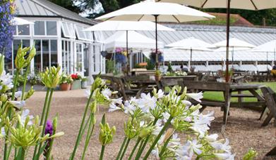 a view of the Pavilion Tearoom from outside, with picnic benches