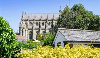 Cathedral View