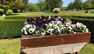 Mill Road Putting Green cafe