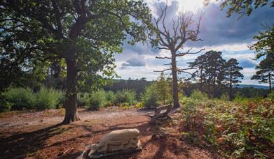 Heathland Sculpture Trail from South Downs National Park