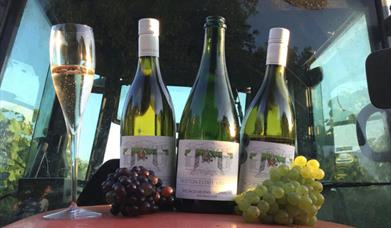 Trotton Estate Vineyards