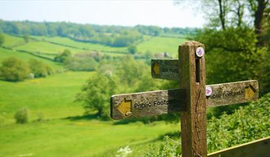 Pulborough to Petworth Walk
