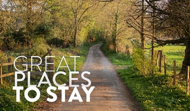 The Annex at Westerlies