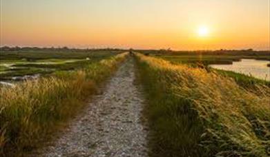 Pagham Harbour Walks- Pagham Harbour North Wall