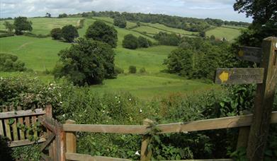 Petworth and Shimmings Valley