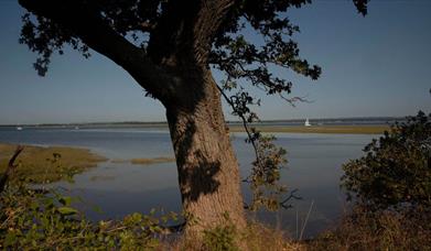 Itchenor & Bosham circular cycle route