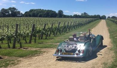 Ambriel Vineyard