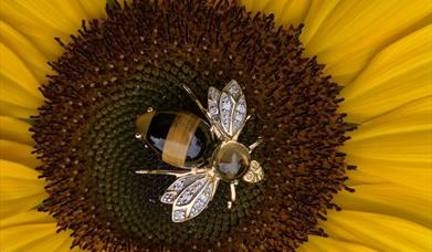 Anthony Lodge Jewellers