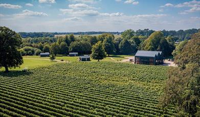 an aerial view of Ashling Park vineyard with restaurant and accommodation lodges in the background