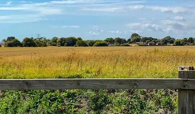 Compton Circular Walk