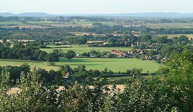 Duncton Hill Viewpoint