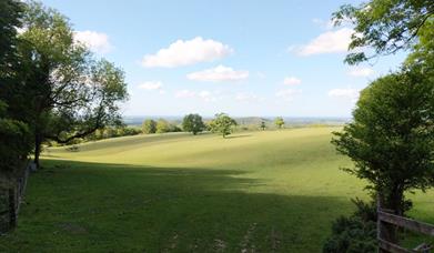 Slindon Estate and Stane Street