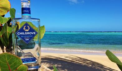 Chilgrove Gin