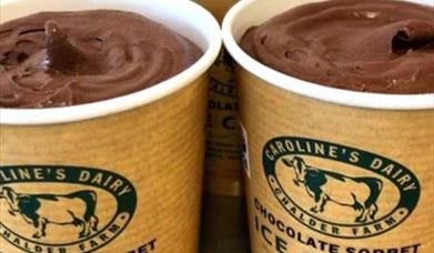 Caroline's Dairy Ice Cream
