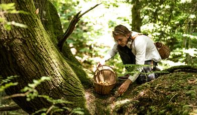 Cowdray Foraging, Matt Austin Photography