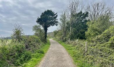 Gravel cycle track in South Downs National Park