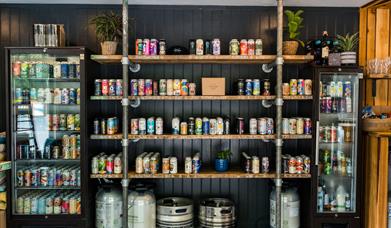 Inside the Crafty Bishop