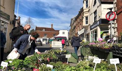 Petworth Farmers' Market