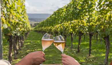 Two people clinking wine glasses in a vineyard