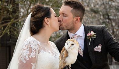 Fab Falconry Weddings