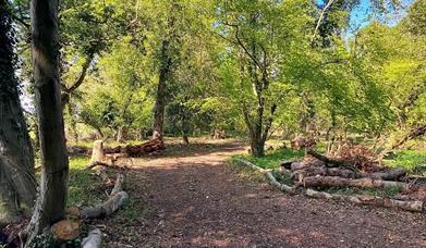 Hundred Acre Farm Camping