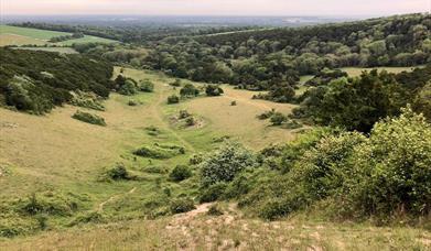 Kingley Vale