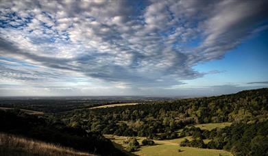 Kingley Vale Nature Reserve and Trail