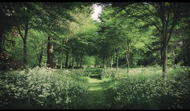 Landscape at Goodwood photo by Jon Nicholson