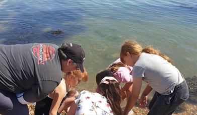 Children with ecology Instructor learning how to eco crab, they over exploring a rock pool