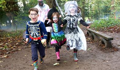 Children dressed in Halloween costumes