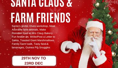 Meet Santa and animals at Northlands Farm