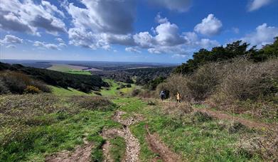 children walking at Kingley Vale