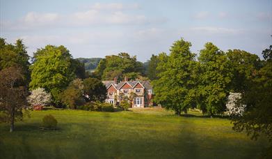 view of a house nestled in trees