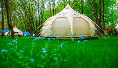 A yurt at Southwood Farm glamping