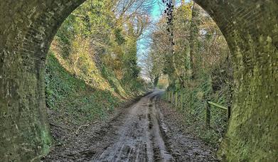 a view of a pathway below a bridge