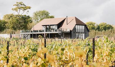 The Farmhouse at Kinsbrook Vineyard